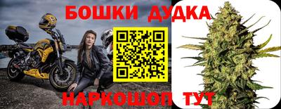СК Заводоуковск