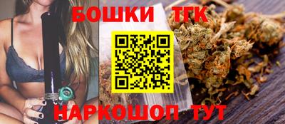 СК Заводоуковск