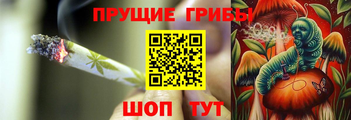 Галлюциногенные грибы MAGIC MUSHROOMS Гурьевск