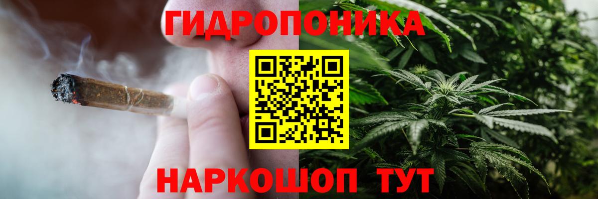Гурьевск  Канабис семена  Вход с VPN  Канабис ГИДРОПОН  Бошки Шишки ГИДРОПОН 